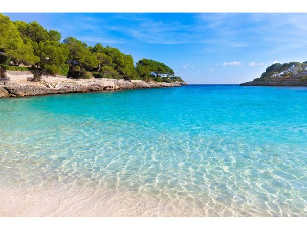 appartamento in affitto ad Arzachena in zona Porto Cervo