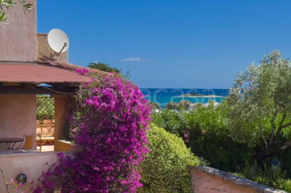 casa indipendente in affitto ad Arzachena