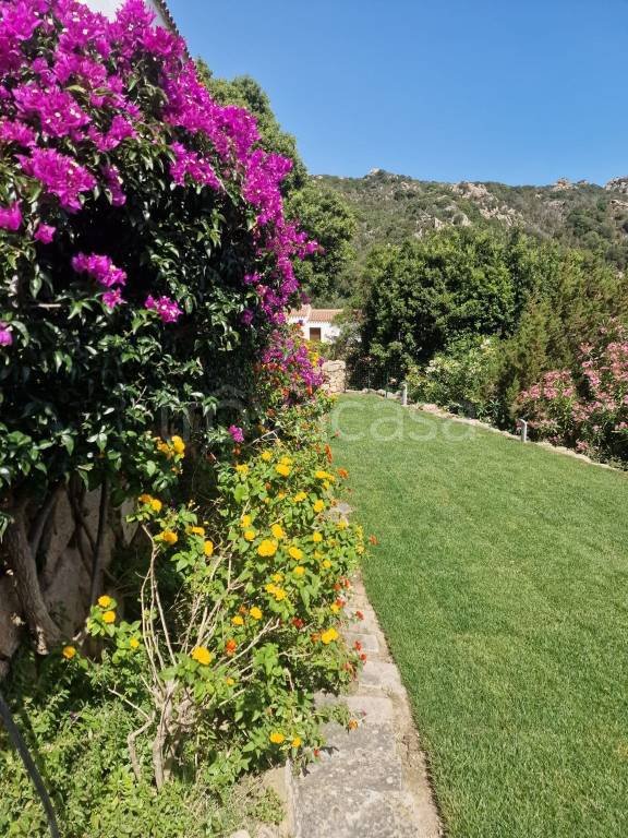 casa indipendente in affitto ad Arzachena in zona Pantogia