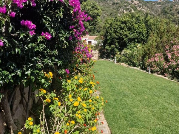 casa indipendente in affitto ad Arzachena in zona Porto Cervo