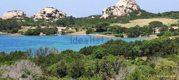 appartamento in affitto ad Arzachena in zona Baja Sardinia
