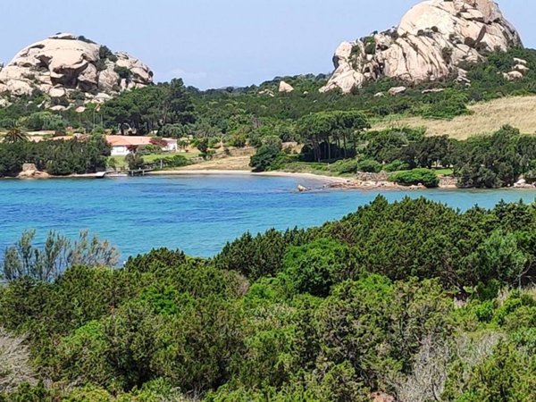 appartamento in affitto ad Arzachena in zona Baja Sardinia