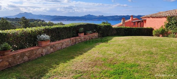 casa indipendente in affitto ad Arzachena