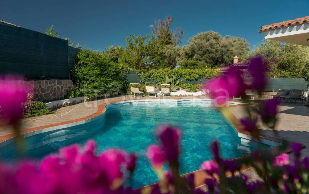 casa indipendente in affitto ad Arzachena