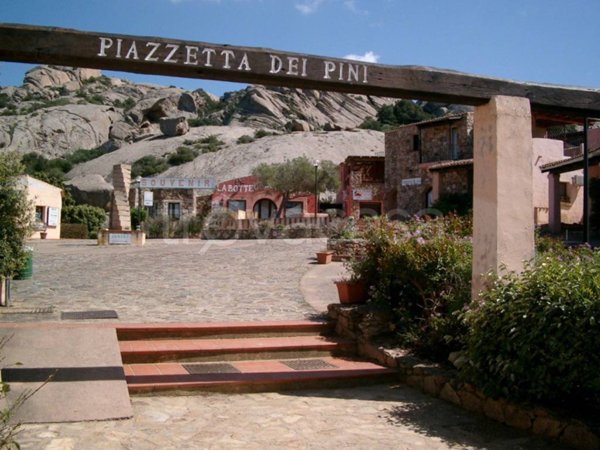 appartamento in affitto ad Arzachena in zona Baja Sardinia