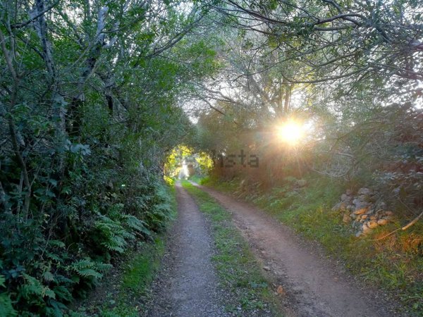 appartamento in affitto ad Arzachena