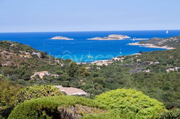 appartamento in affitto ad Arzachena