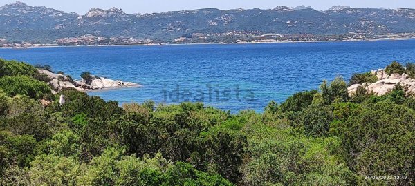 appartamento in affitto ad Arzachena in zona Baja Sardinia
