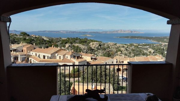 appartamento in affitto ad Arzachena in zona Porto Cervo