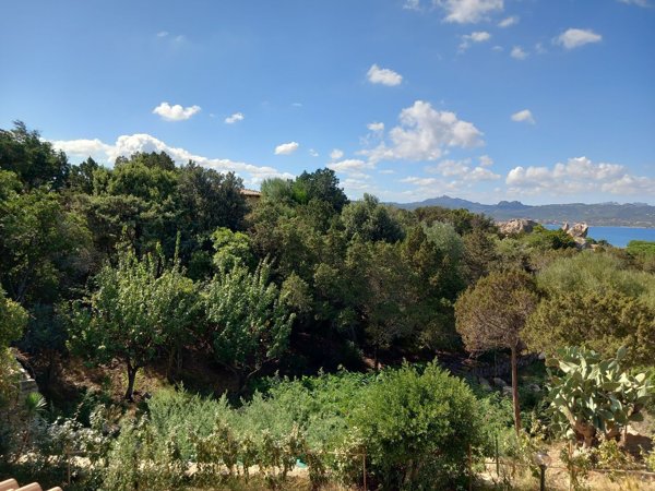 casa indipendente in affitto ad Arzachena