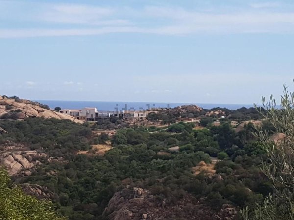 appartamento in affitto ad Arzachena