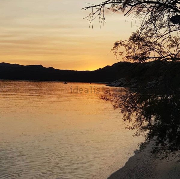 appartamento in affitto ad Arzachena