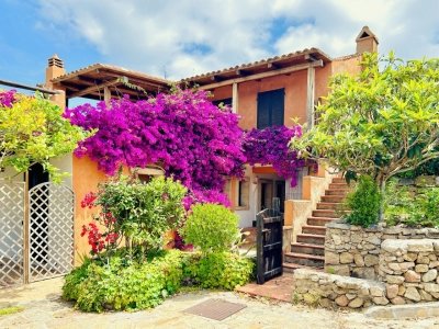 appartamento in affitto ad Arzachena in zona Porto Cervo