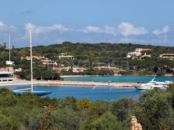appartamento in affitto ad Arzachena in zona Porto Cervo