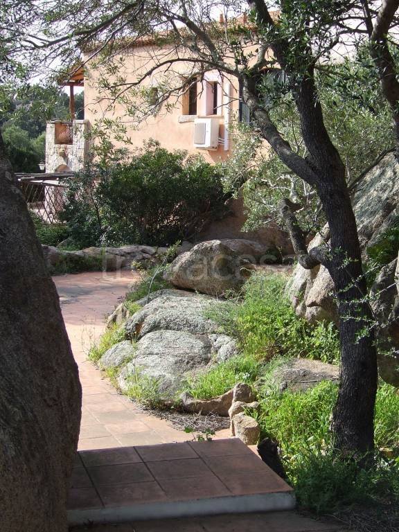 negozio in affitto ad Arzachena in zona Porto Cervo