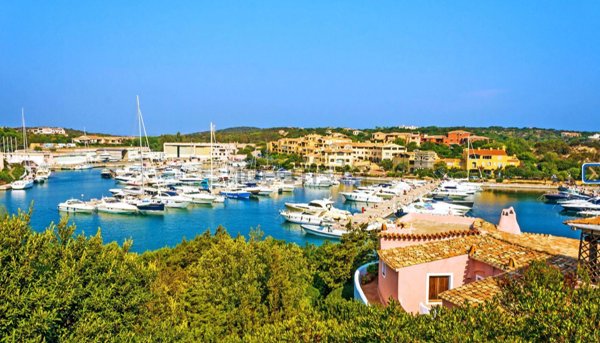 appartamento in affitto ad Arzachena in zona Porto Cervo