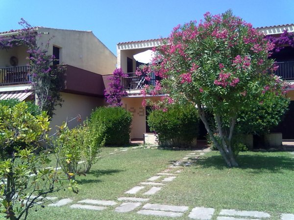 appartamento in affitto ad Arzachena in zona Cannigione