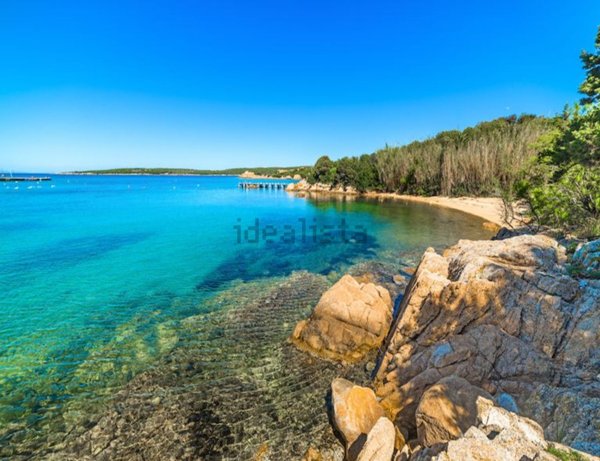 appartamento in affitto ad Arzachena