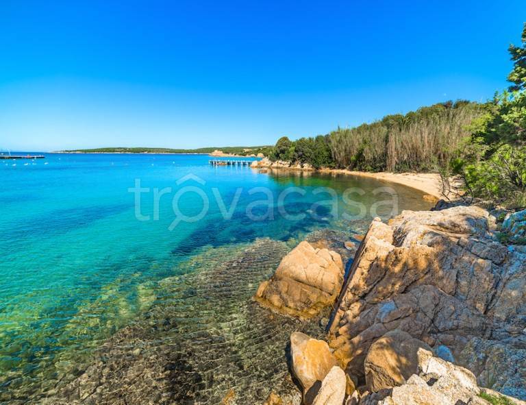 appartamento in affitto ad Arzachena in zona Porto Cervo