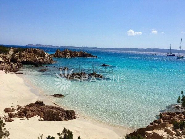 appartamento in affitto ad Arzachena in zona Poltu Quatu