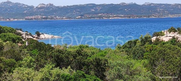 appartamento in affitto ad Arzachena in zona Baja Sardinia