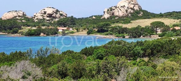 appartamento in affitto ad Arzachena in zona Baja Sardinia
