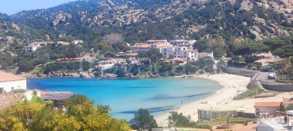 appartamento in affitto ad Arzachena in zona Baja Sardinia