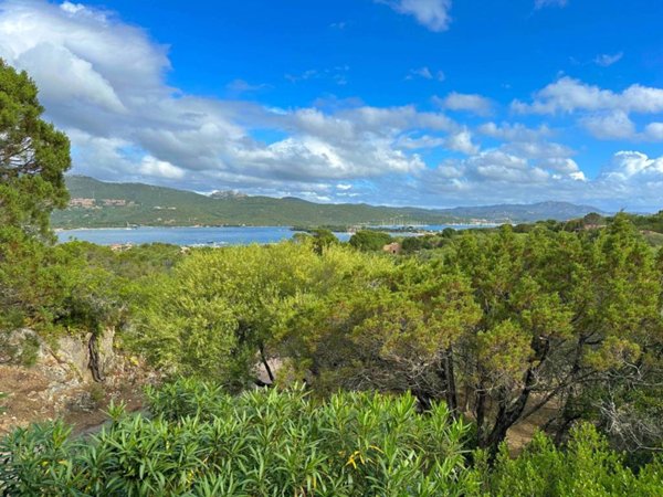 casa indipendente in affitto ad Olbia in zona Porto Rotondo
