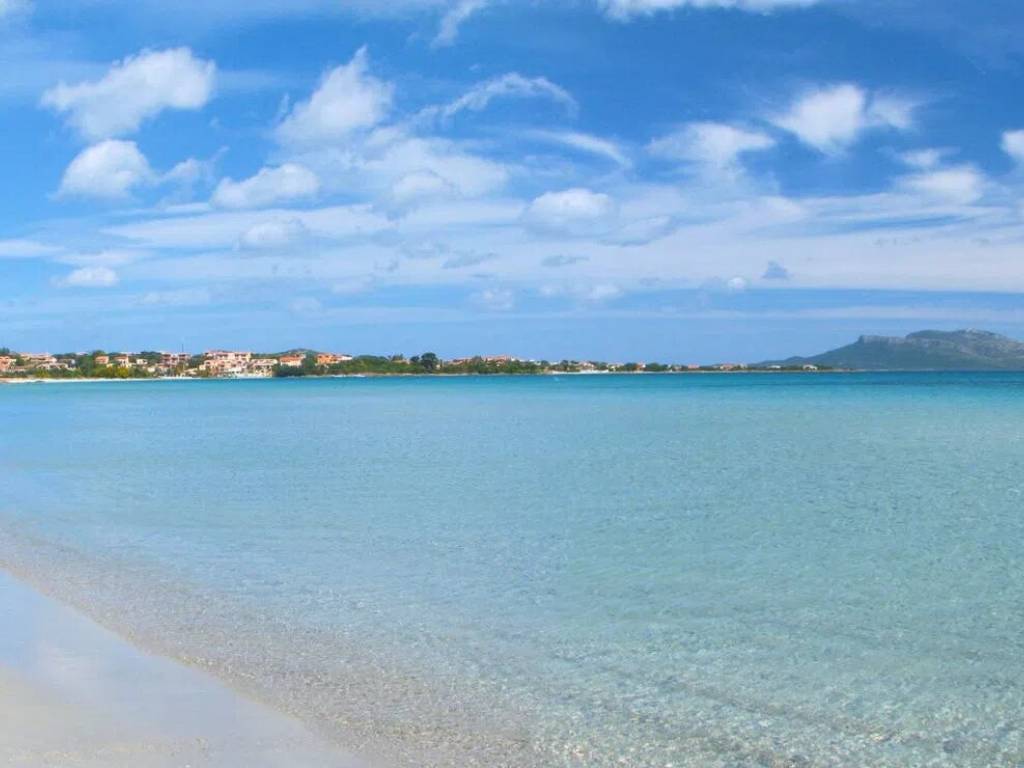 negozio in affitto ad Olbia in zona Pittulongu