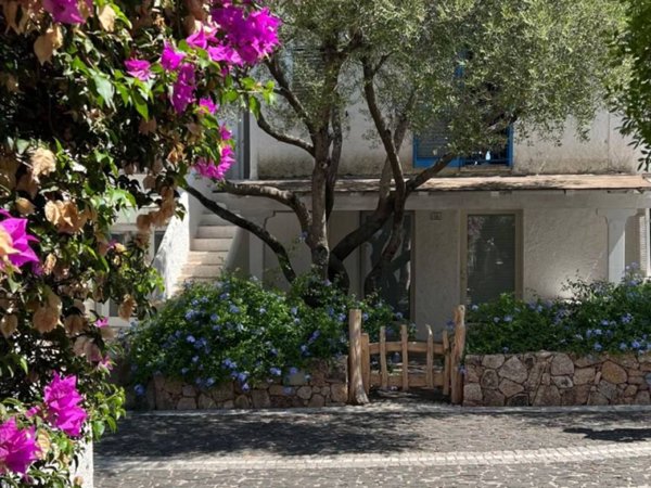 appartamento in affitto ad Olbia in zona Porto Rotondo