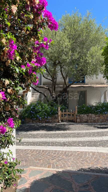 appartamento in affitto ad Olbia in zona Porto Rotondo