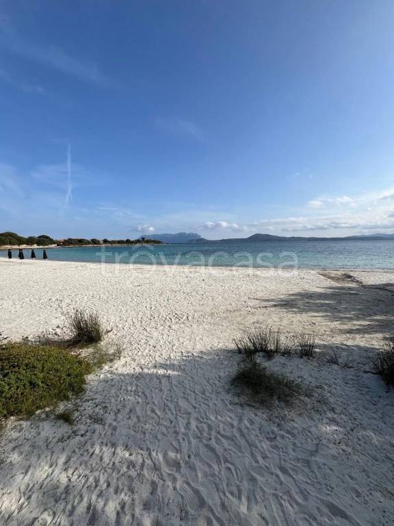 casa indipendente in affitto ad Olbia in zona Pittulongu