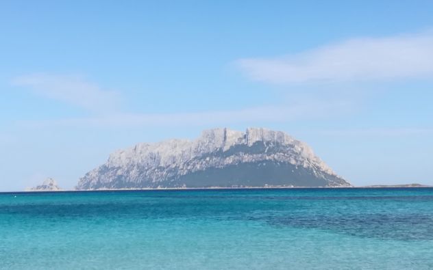 casa indipendente in affitto ad Olbia