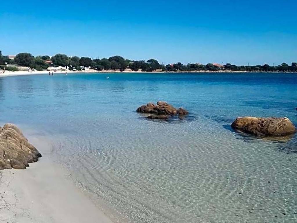 appartamento in affitto ad Olbia in zona Pittulongu