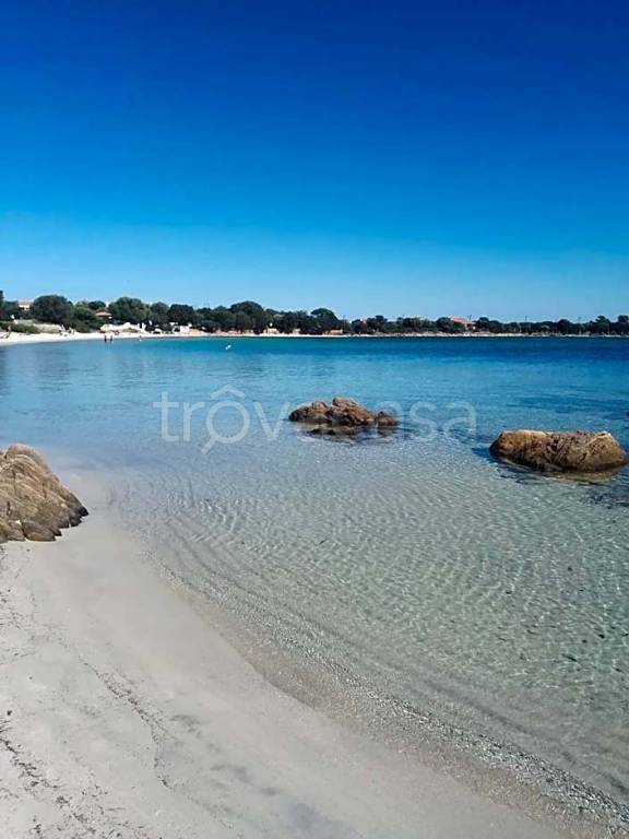 appartamento in affitto ad Olbia in zona Pittulongu