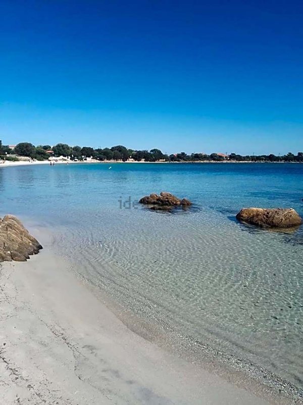 appartamento in affitto ad Olbia in zona Pittulongu