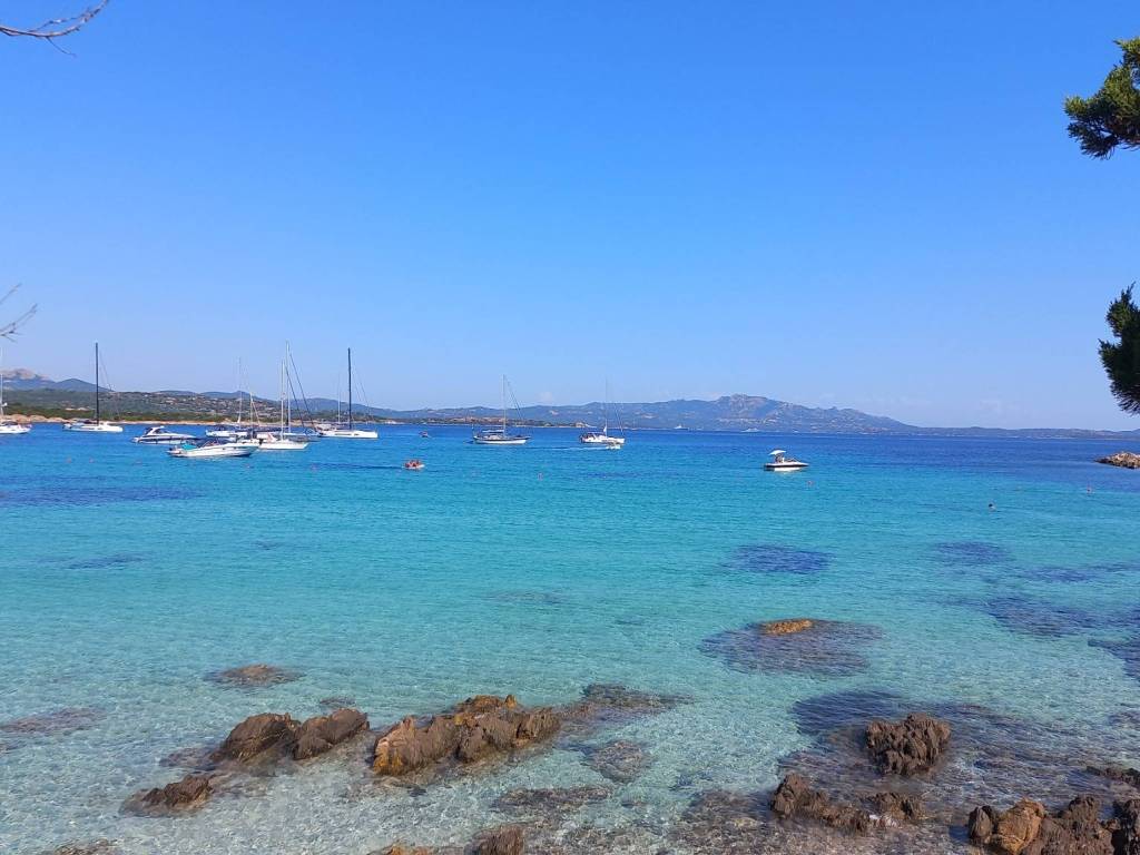 appartamento in affitto ad Olbia in zona Porto Rotondo