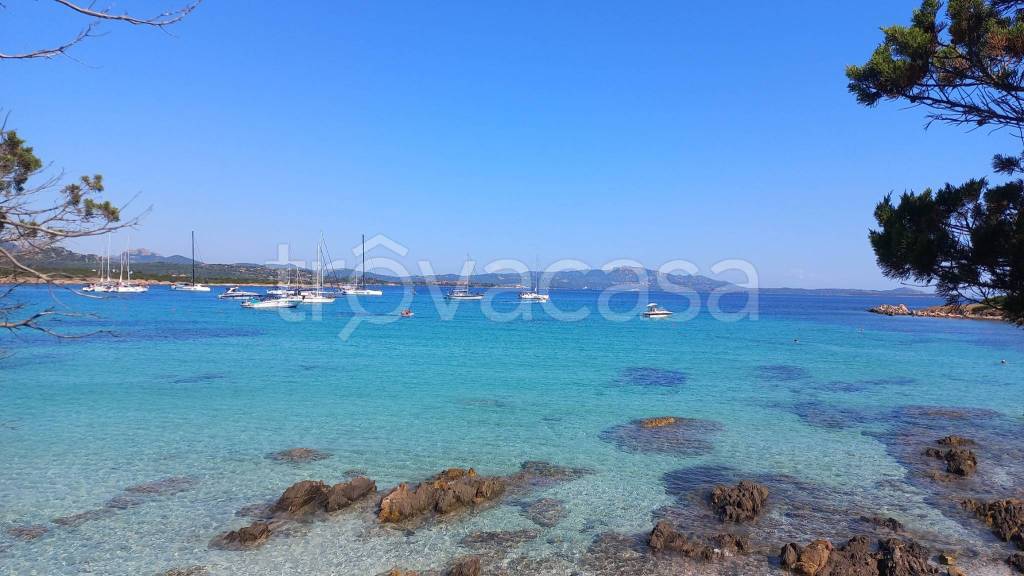 appartamento in affitto ad Olbia in zona Porto Rotondo