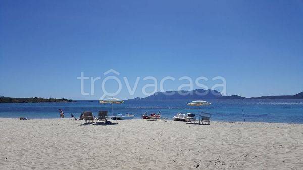 appartamento in affitto ad Olbia in zona Pittulongu