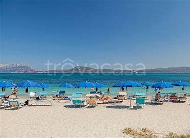 appartamento in affitto ad Olbia in zona Pittulongu