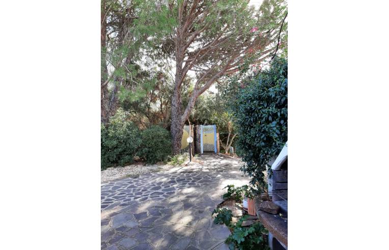 appartamento in affitto ad Olbia