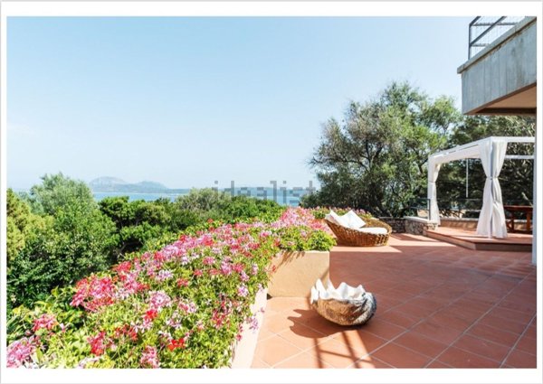 casa indipendente in affitto ad Olbia in zona Porto Rotondo