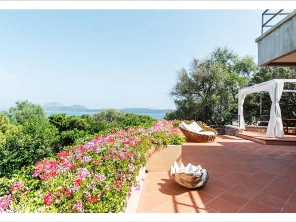 casa indipendente in affitto ad Olbia in zona Porto Rotondo