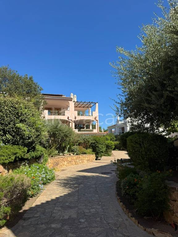 appartamento in affitto ad Olbia in zona Porto Rotondo