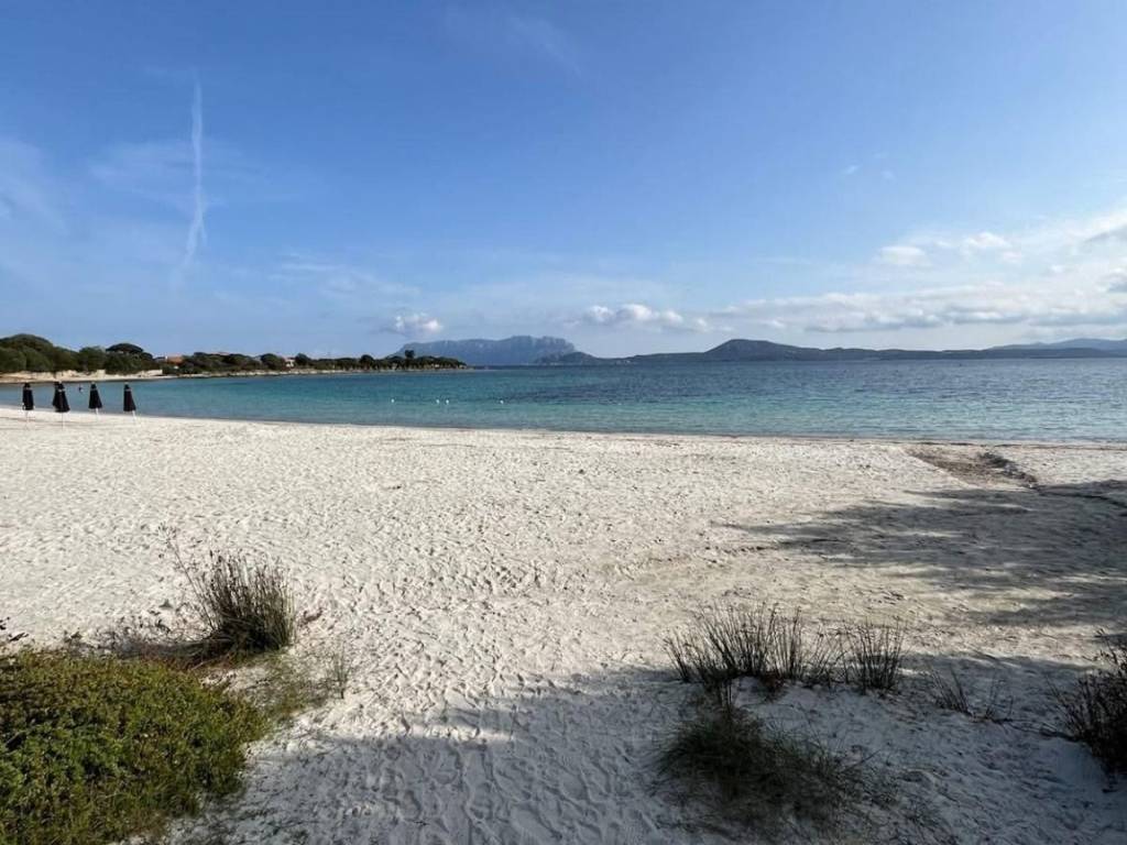 casa indipendente in affitto ad Olbia in zona Pittulongu