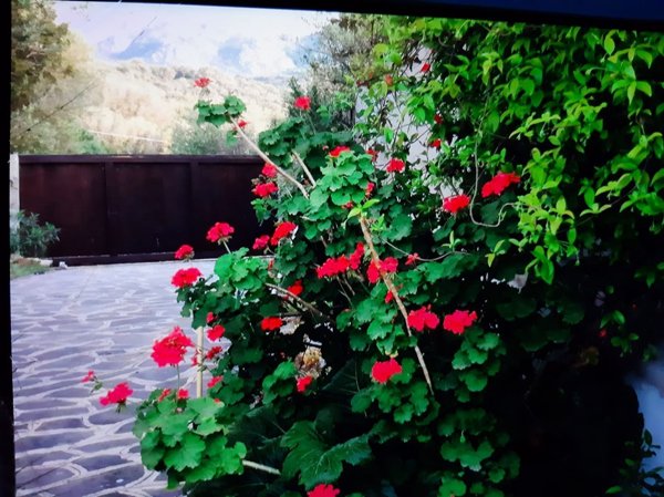 appartamento in affitto ad Olbia in zona Rudalza