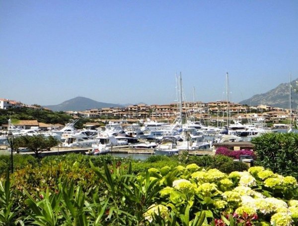 appartamento in affitto ad Olbia in zona Porto Rotondo