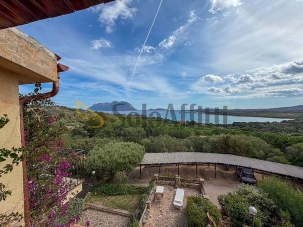 appartamento in affitto ad Olbia in zona Porto Istana