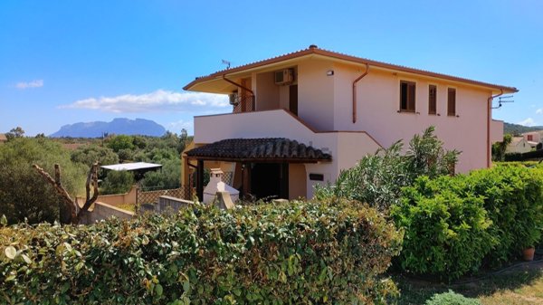 appartamento in affitto ad Olbia in zona Porto Istana