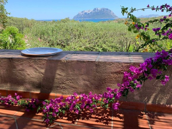 casa indipendente in affitto ad Olbia in zona Porto Istana